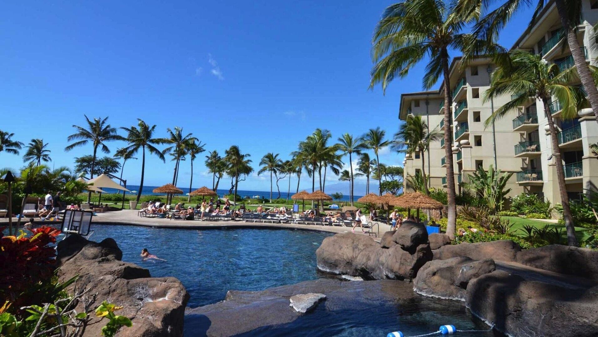 A resort pool with palm trees, lounge chairs, and a view of the ocean.