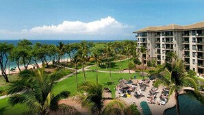 A resort with a pool, beach, and palm trees.