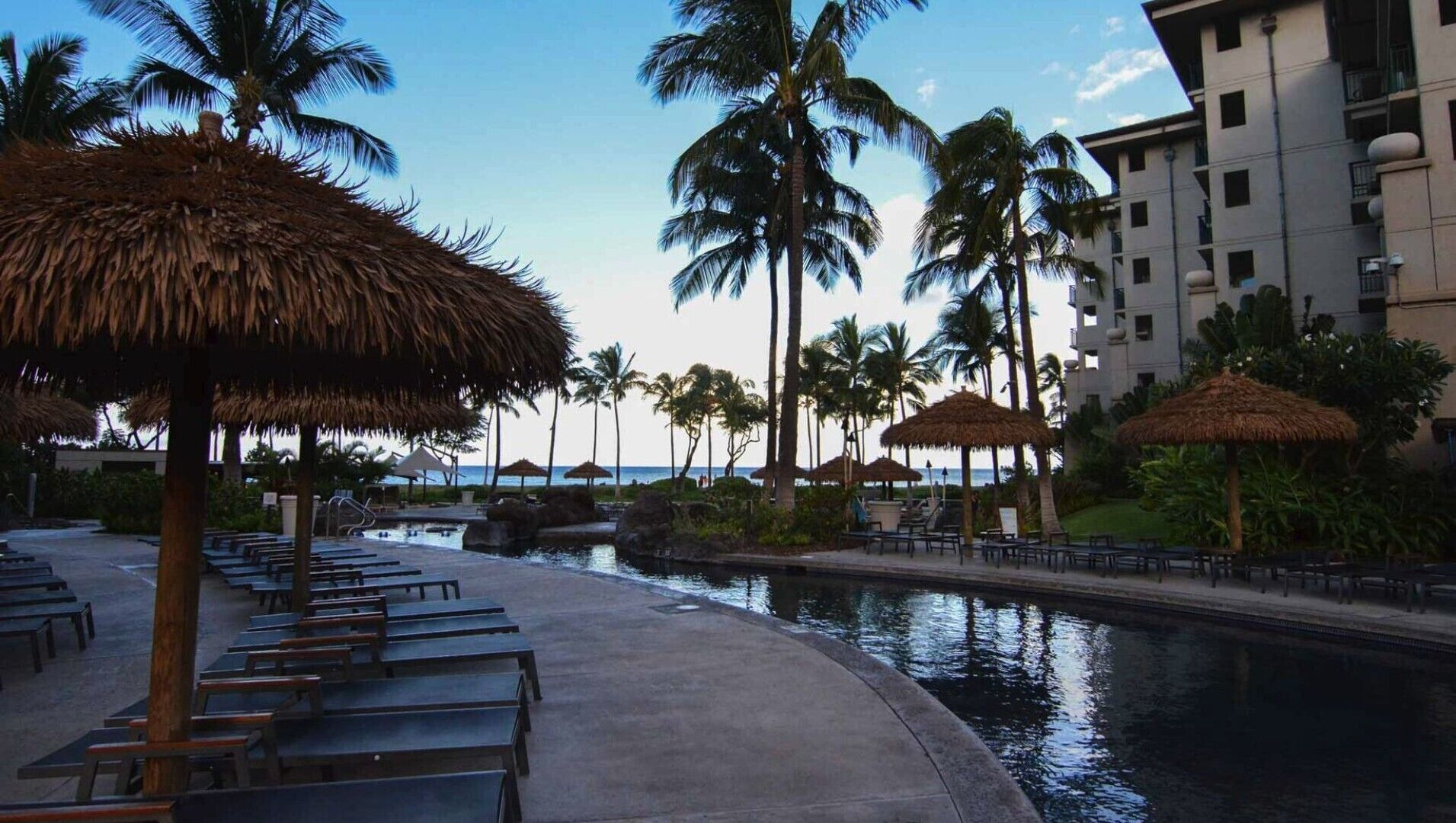 A poolside area with thatched umbrellas, lounge chairs, and palm trees.