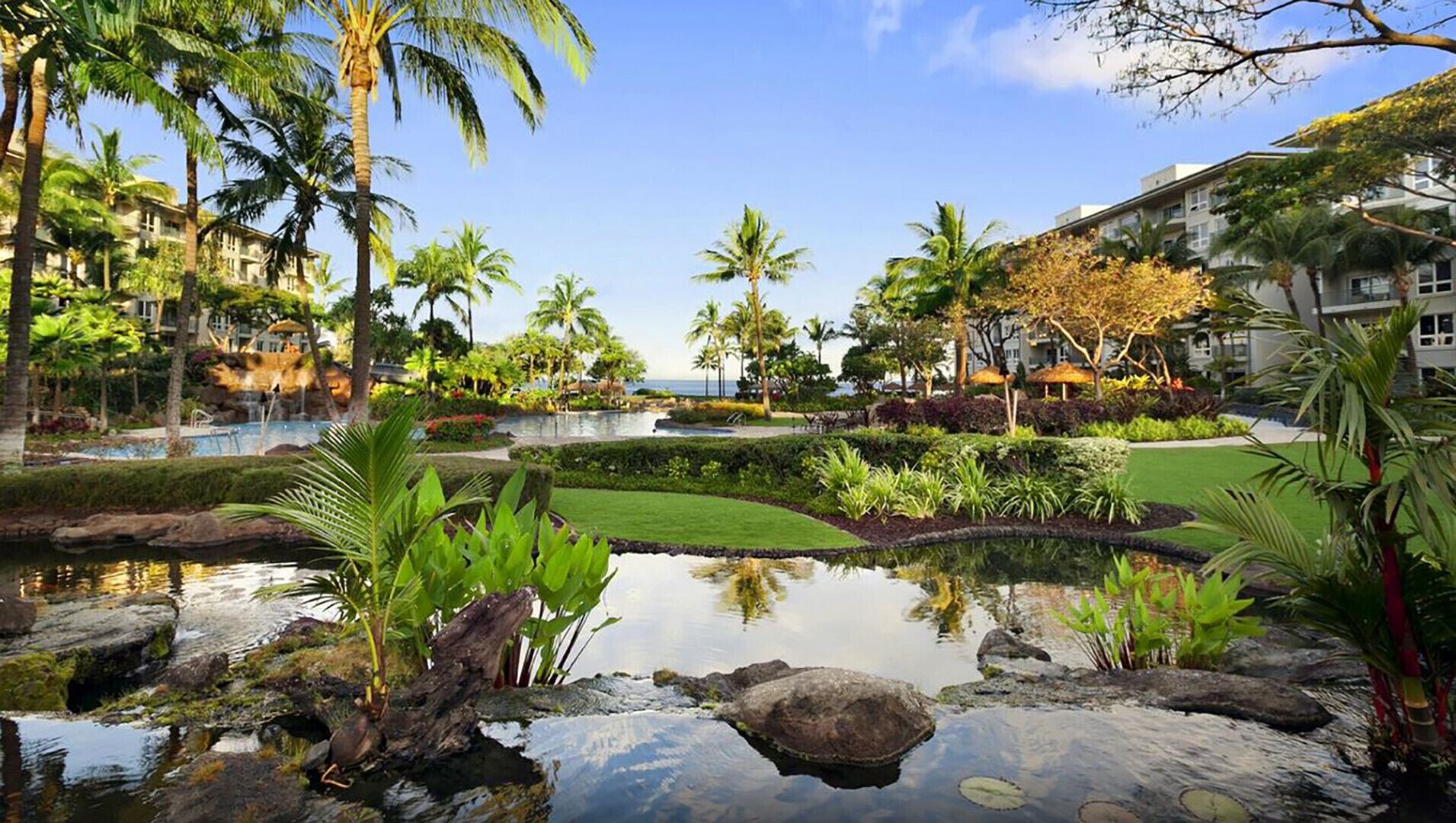 A resort with a pool, palm trees, and a small pond.