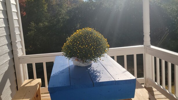 Una terraza de madera con una mesa azul con maceta amarilla.