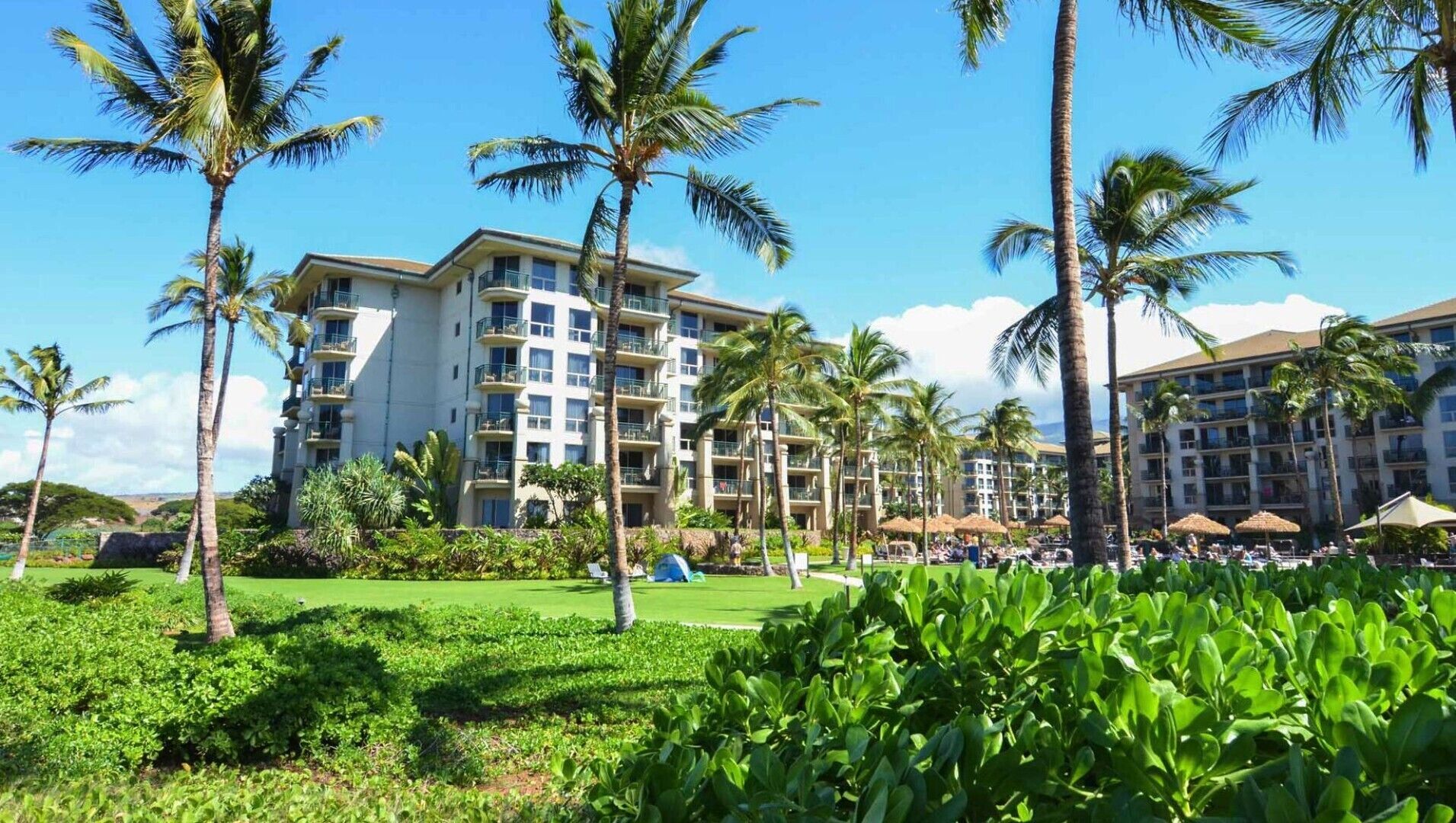 Un resort con edificios de varios pisos, palmeras y un césped cuidado.