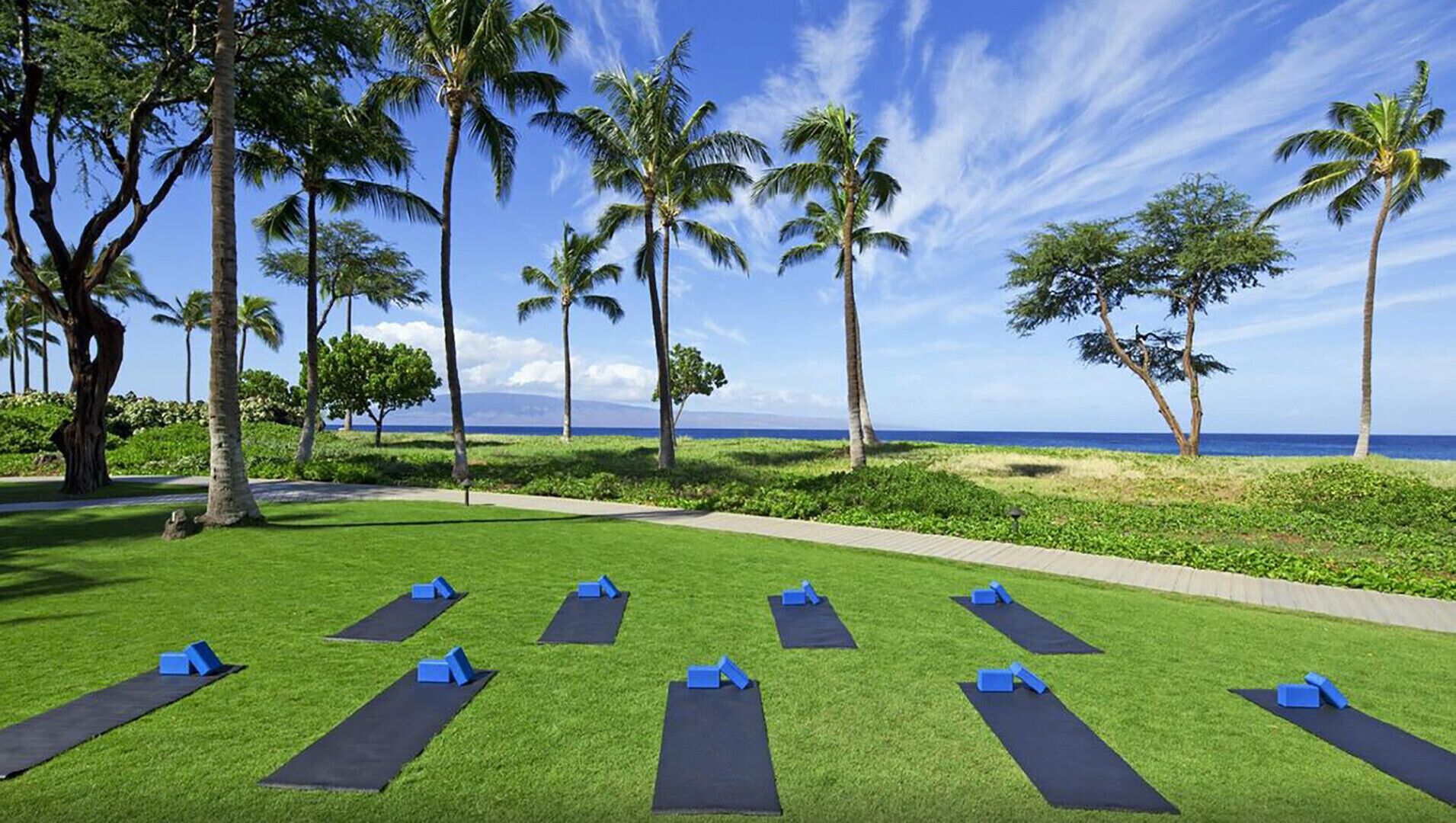 A yoga mat setup in a grassy area with palm trees and a view of the ocean.