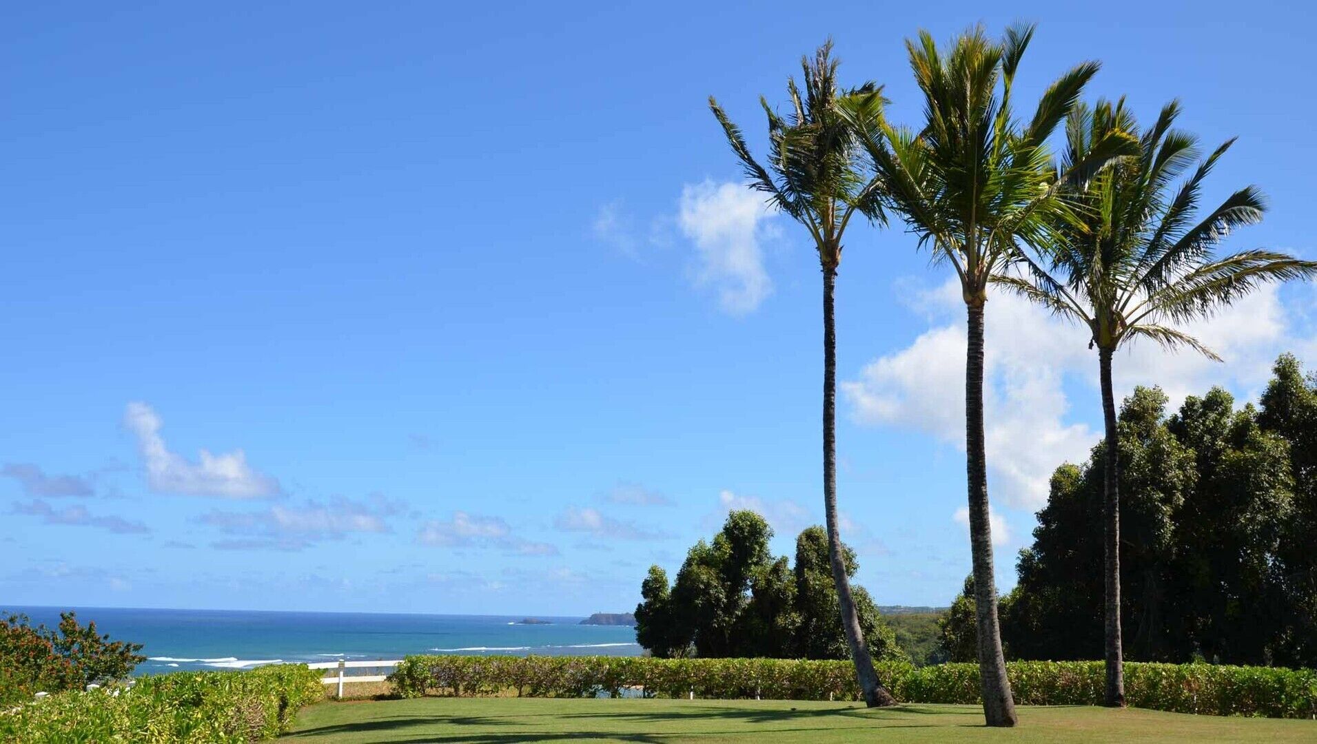 A golf course with a view of the ocean and palm trees.