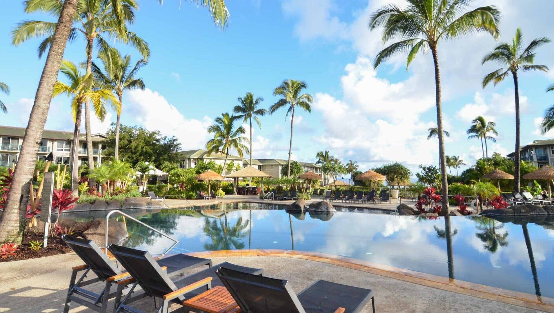 A pool area with lounge chairs, palm trees, and a clear sky.