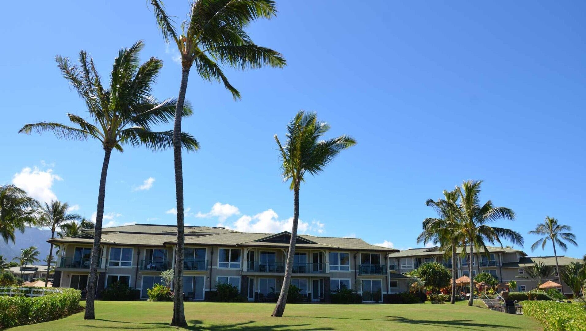 A large hotel with multiple floors, a well-maintained lawn, and several palm trees.