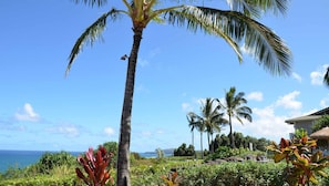 A tropical landscape with palm trees, a clear blue sky, and a view of the ocean.