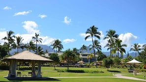 A tropical resort with a thatched-roof pavilion, palm trees, and a clear view of mountains in the background.