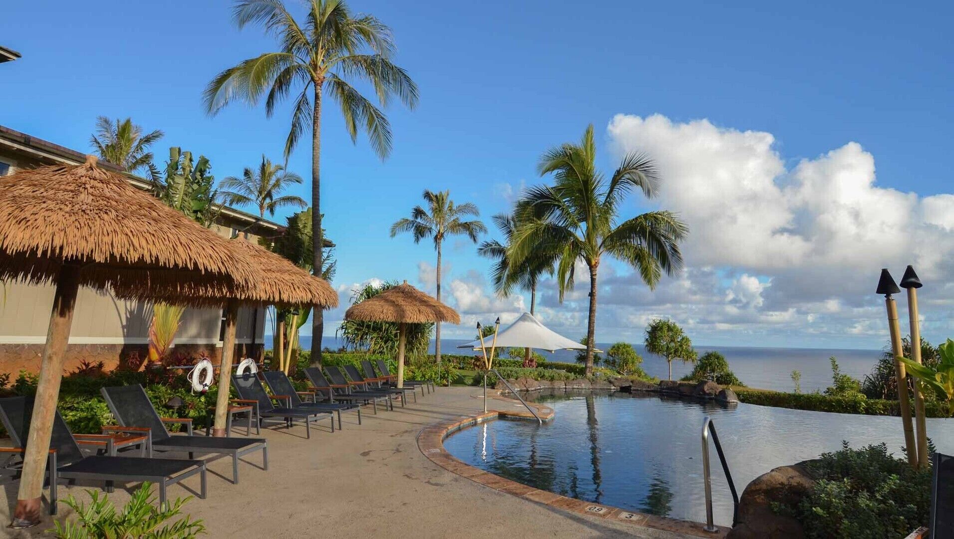 A resort with thatched-roof structures, lounge chairs, a swimming pool, and palm trees.