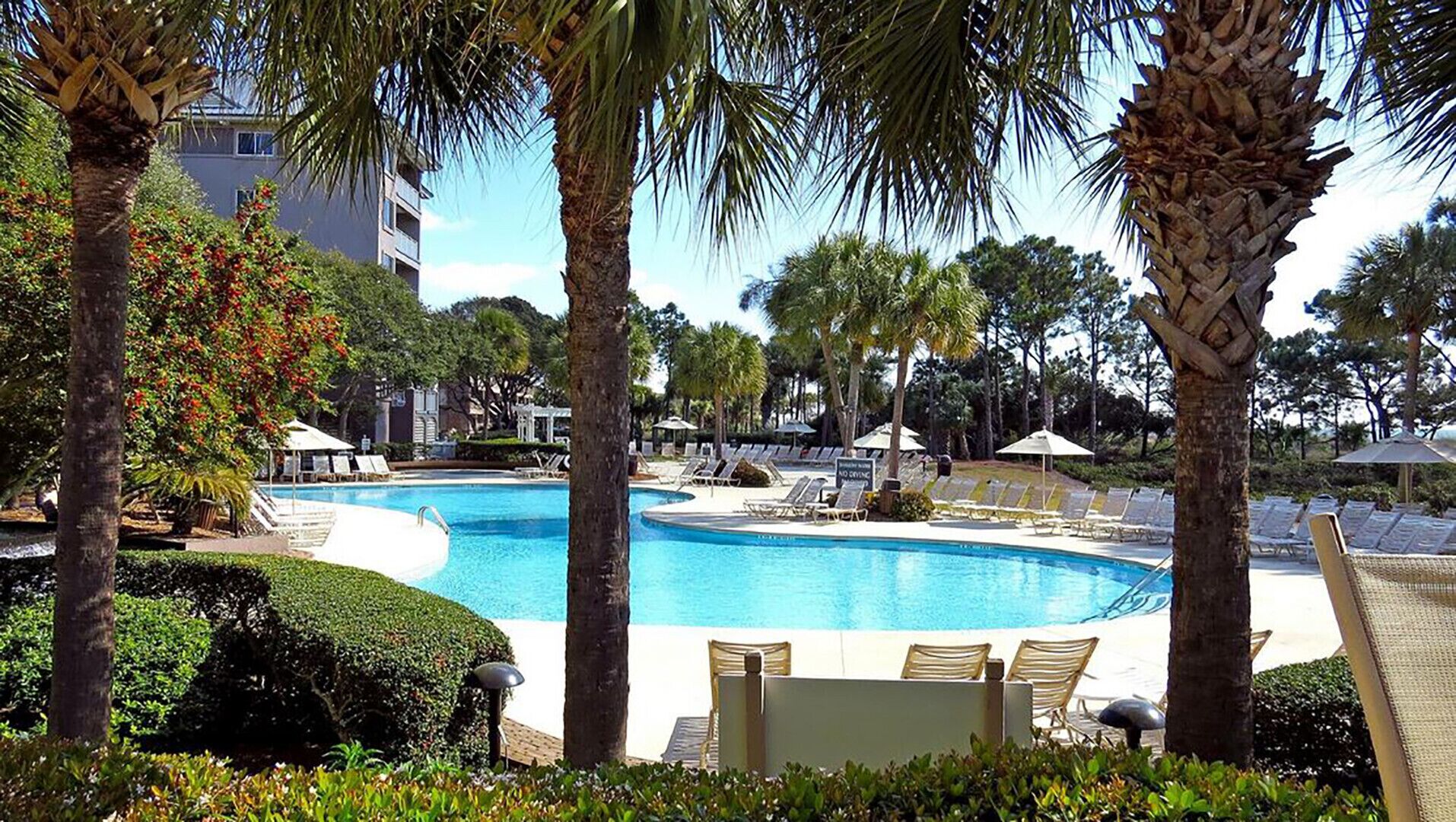 A pool area with lounge chairs and umbrellas, surrounded by palm trees and a building in the background.