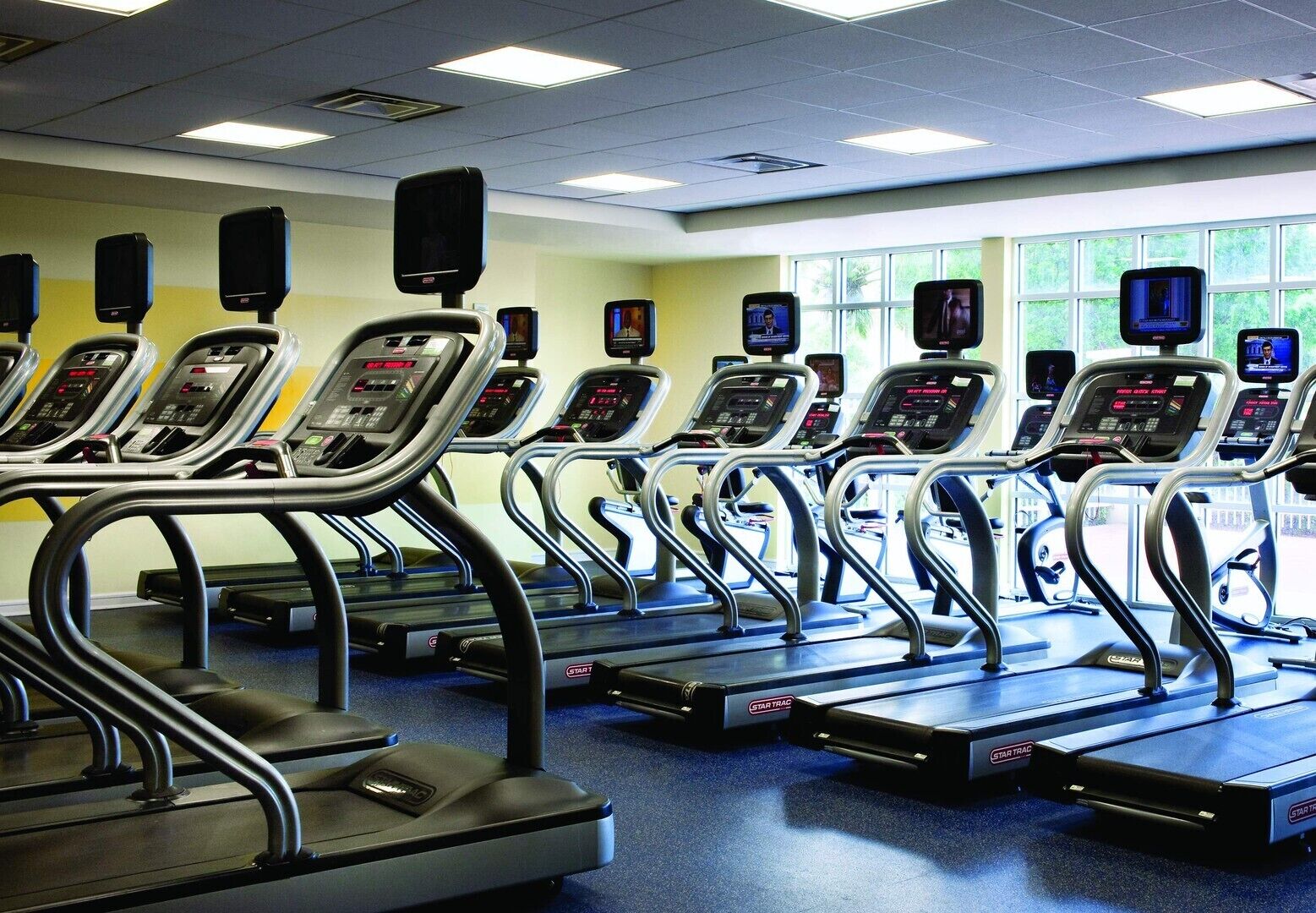 A row of treadmills with digital displays, arranged in a gym with large windows and a blue carpet.