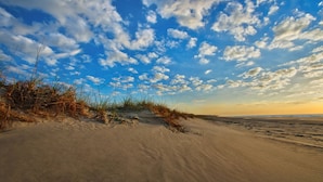 A beach with sand dunes and sparse vegetation.