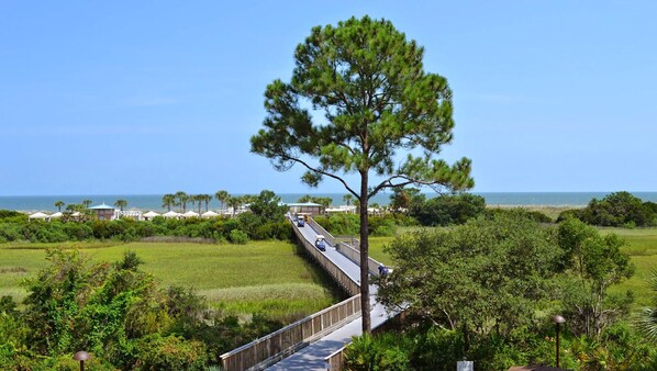 Une route côtière avec un pont en bois, entourée de verdure et offrant une vue sur la mer.