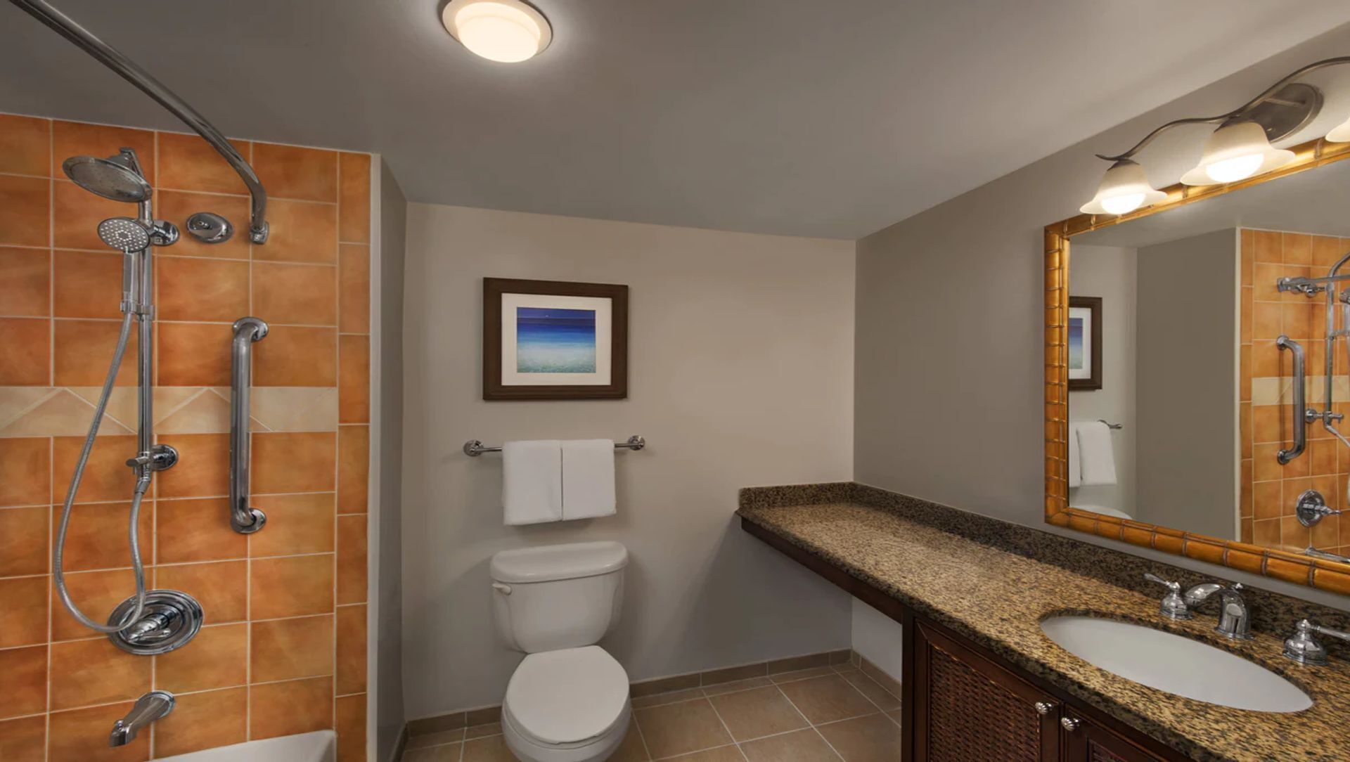 A bathroom with a shower, toilet, sink, and a framed picture on the wall.