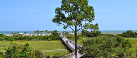 A coastal road with a wooden bridge, surrounded by greenery and a view of the sea.