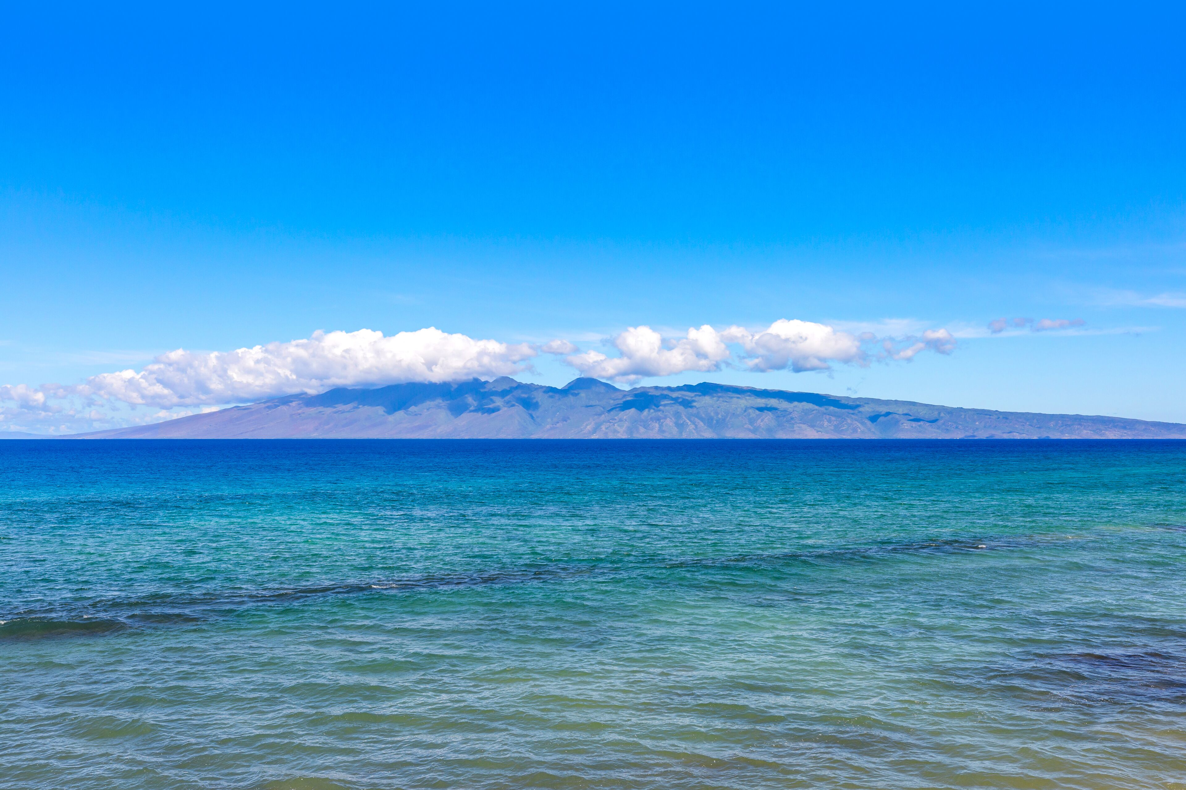 My Perfect Stays: Sep 9-15 was $399 now $179