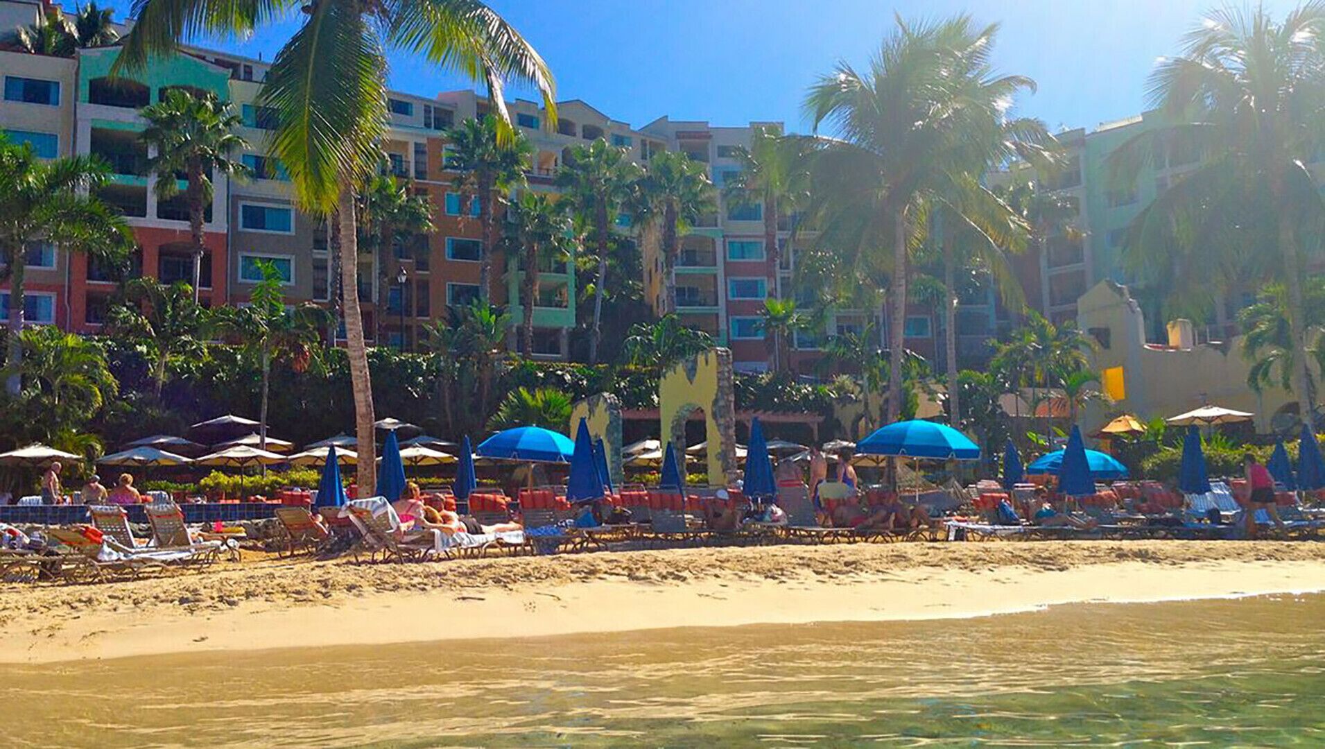 Hotel a primera línia de platja, amb diverses plantes, palmeres i ombrel·les de platja.