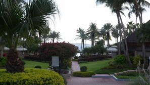 A pathway leading to a building surrounded by lush greenery and palm trees.