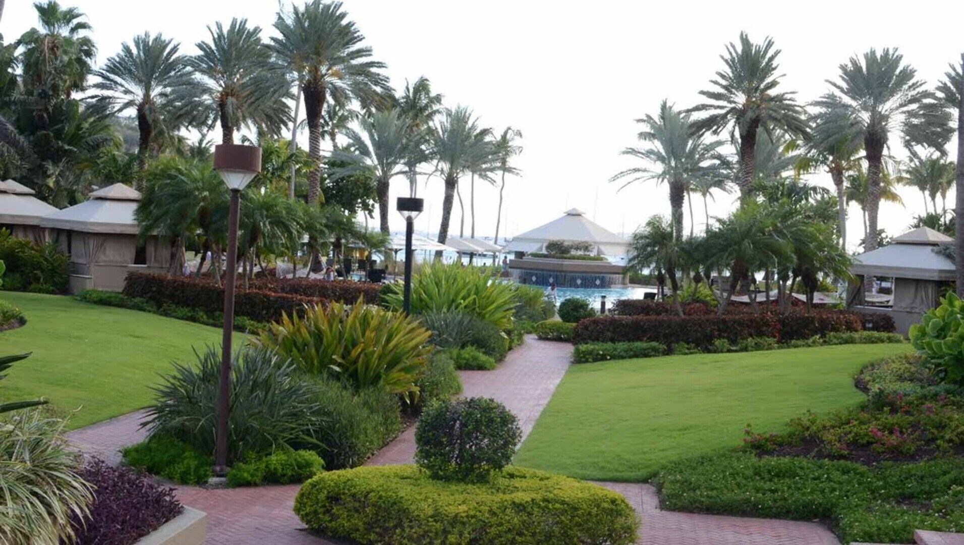 A well-maintained garden with palm trees, a pathway, and a pool area.