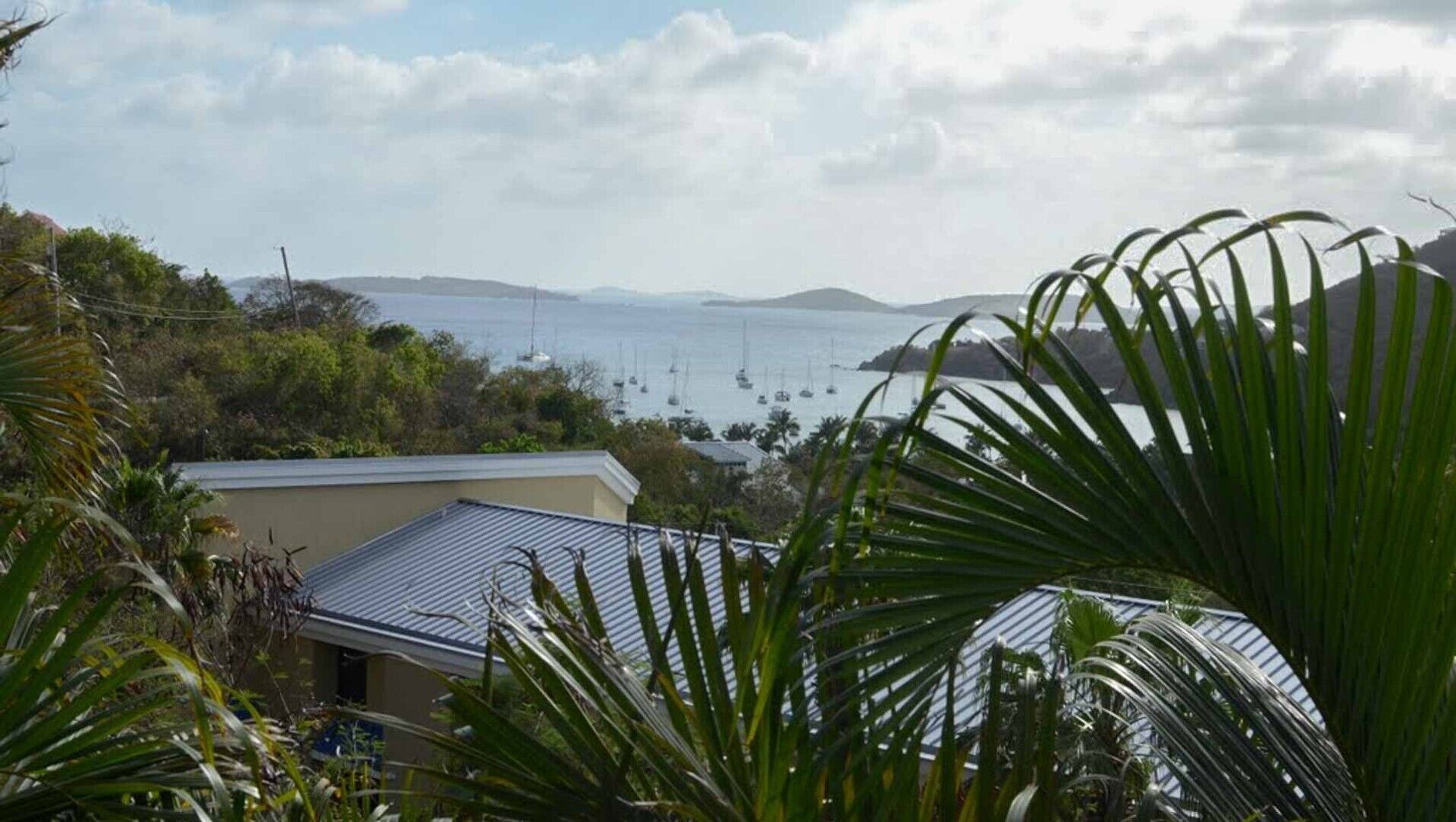 A coastal view with a house, palm trees, and sailboats on the water.