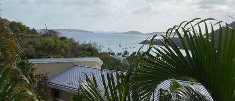 A coastal view with a house, palm trees, and sailboats on the water.