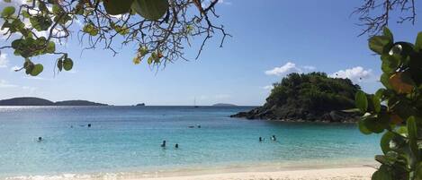 Strand