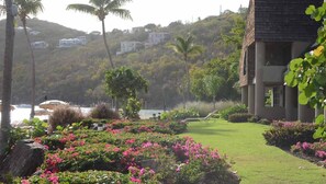 Property grounds - 3 Bedroom - Westin St. John Bay Vista Villas - Full Resort Access (St John)