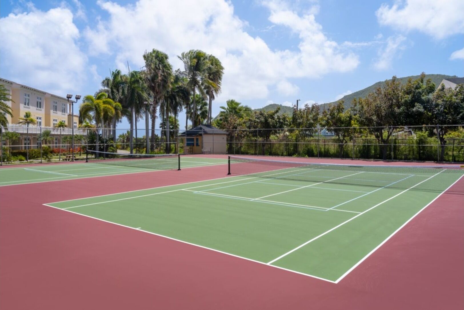 A tennis court with a net, surrounded by palm trees and a building in the background.