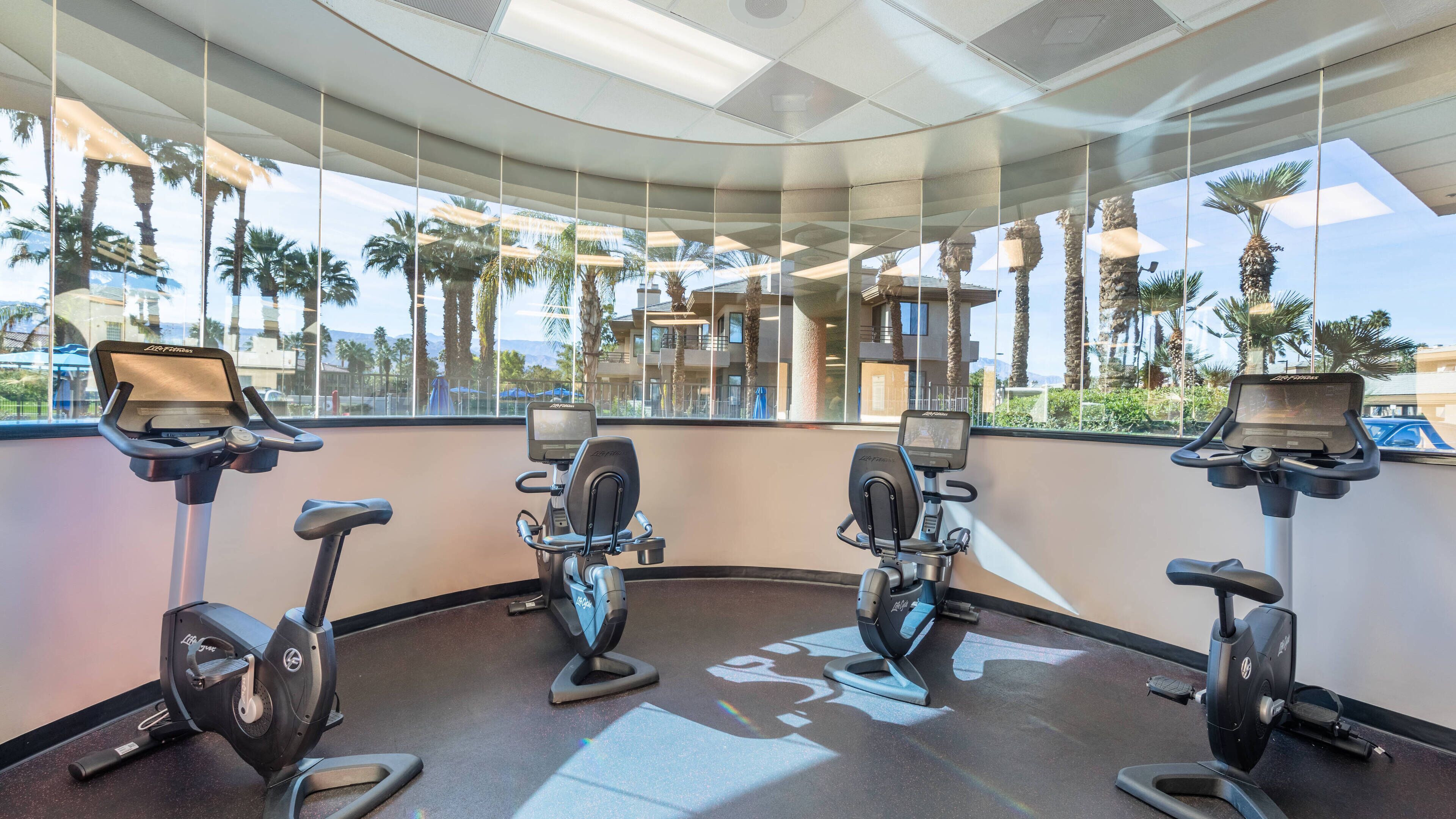 A gym with four stationary bikes, large windows, and a view of palm trees and buildings.