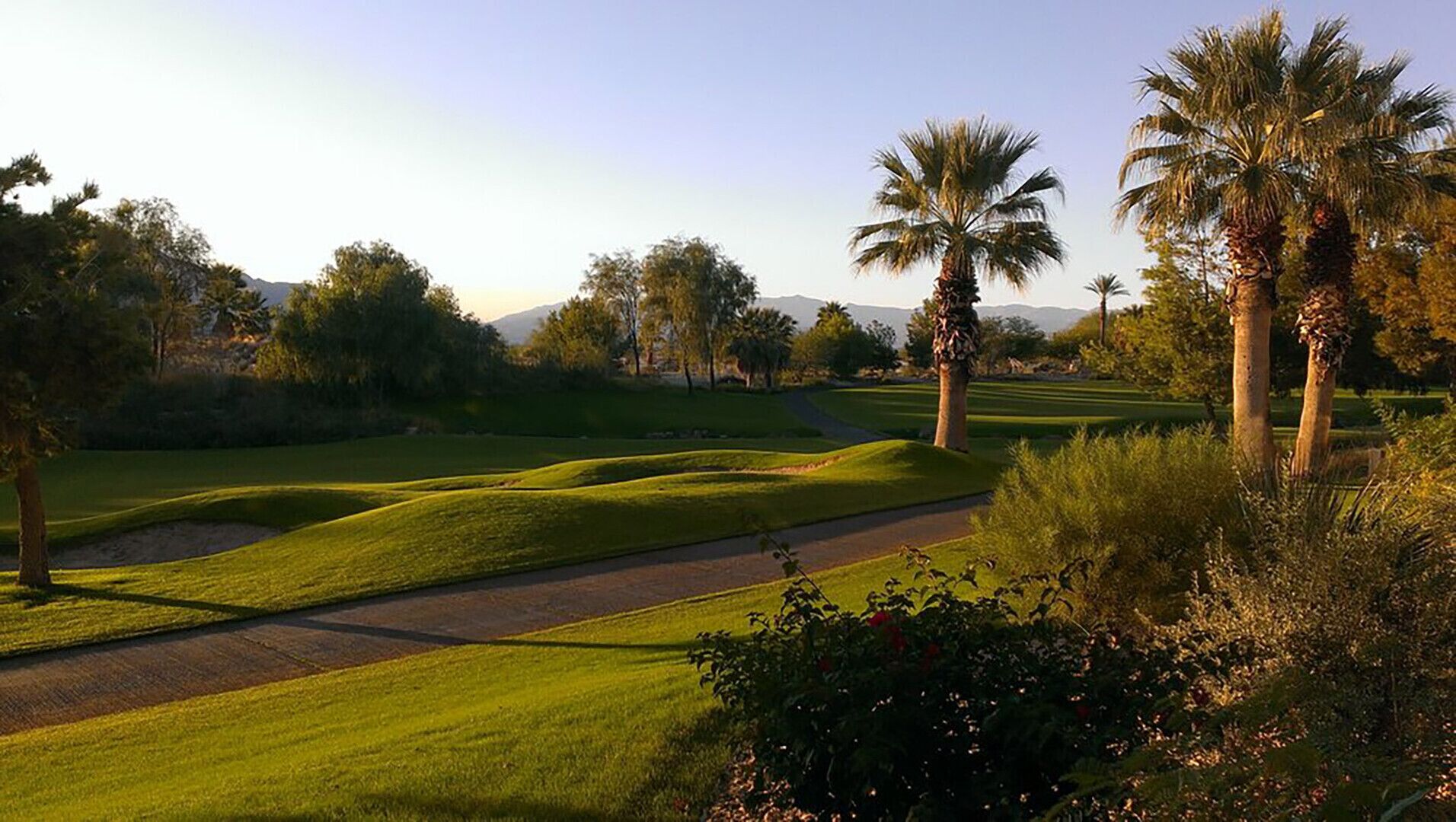 A golf course with well-maintained grass, sand bunkers, and palm trees.