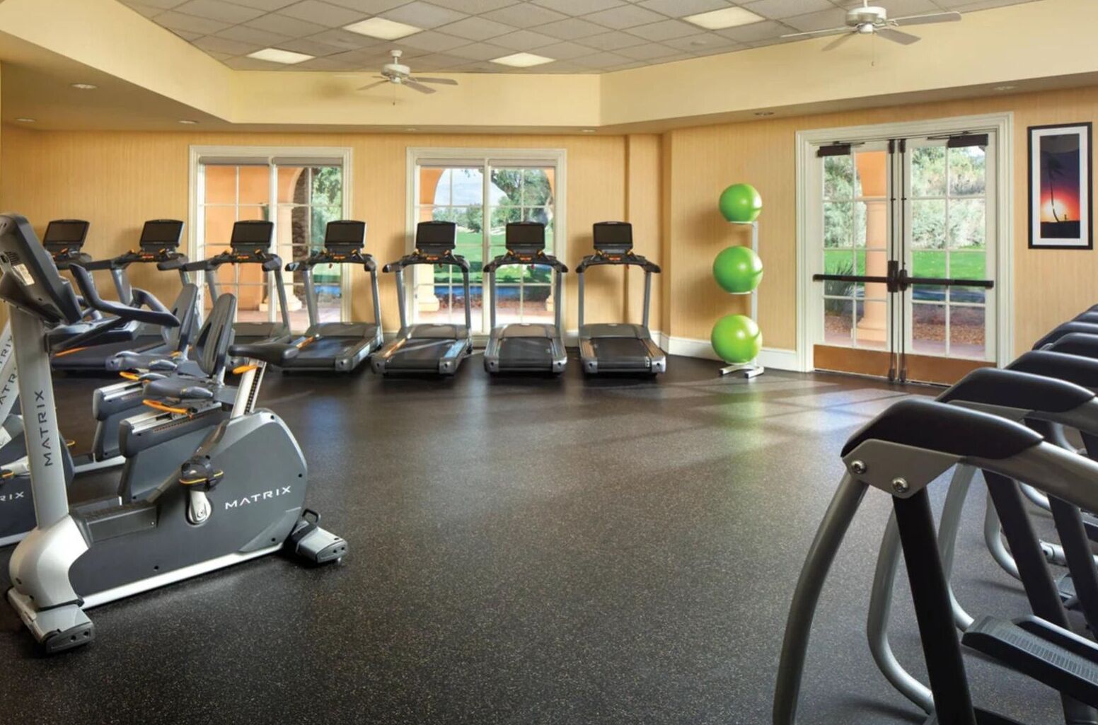 Ett gym med löpband, motionscyklar och träningsbollar.