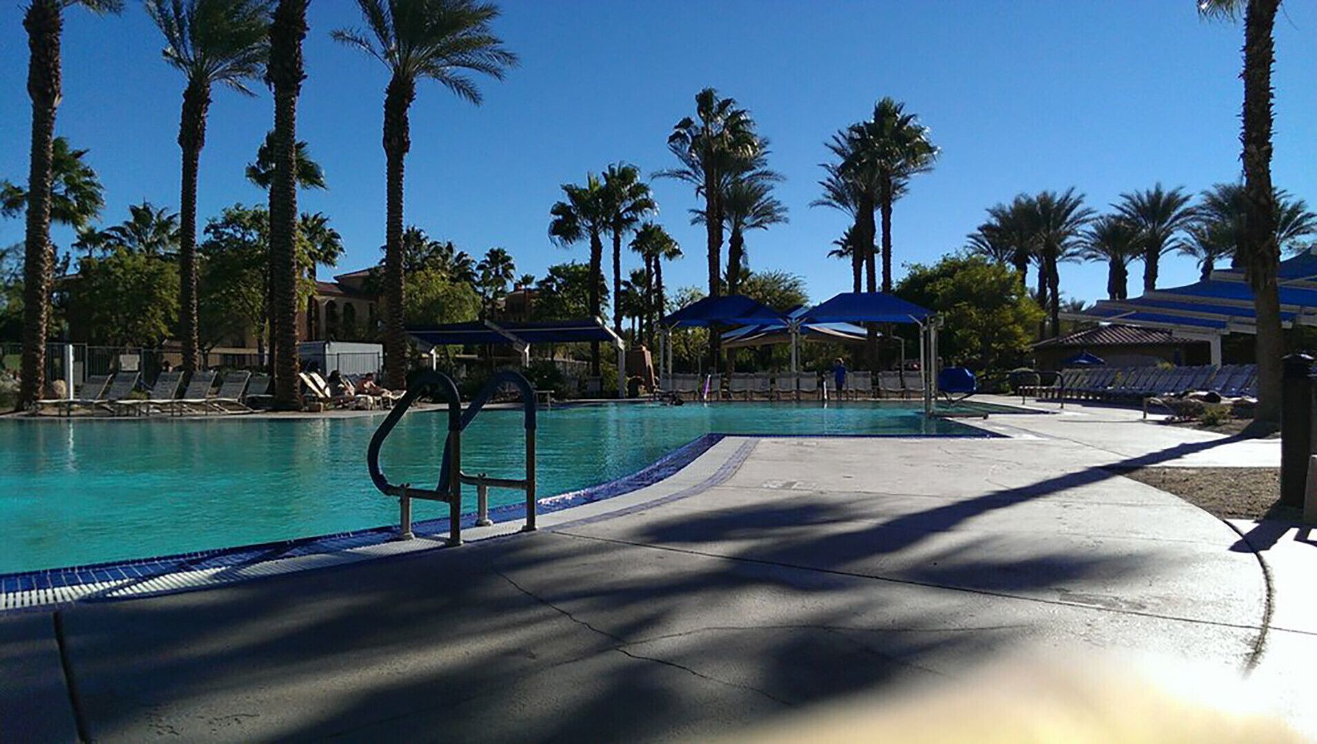 Ein Swimmingpool mit Liegestühlen und Sonnenschirmen, umgeben von Palmen.