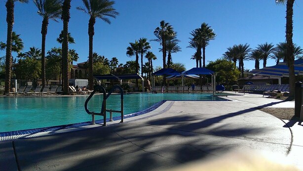Une piscine entourée de palmiers, avec des chaises longues et des parasols.