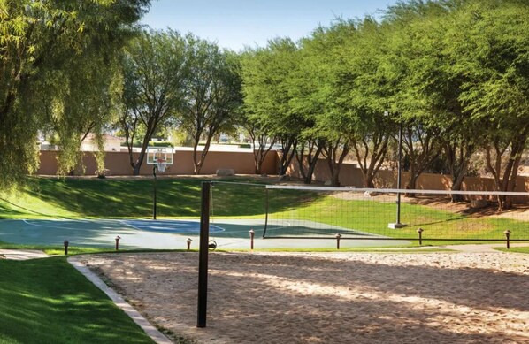 A basketball court with a net, surrounded by trees and a sandy area.
