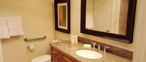 A bathroom with a white sink, a mirror, a toilet, and a handrail.