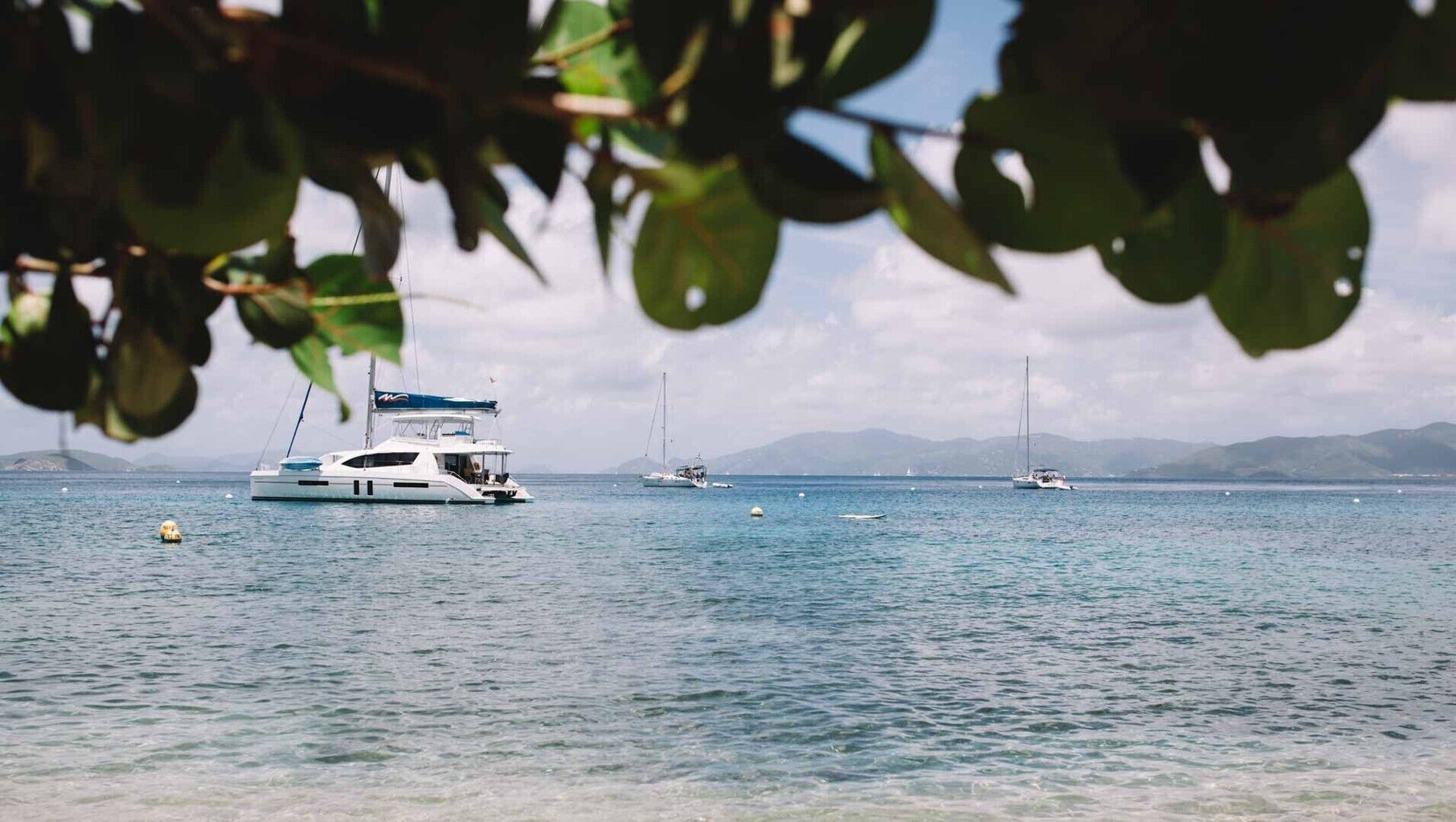 A marina with several sailboats and a motorboat.