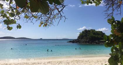 2 Bedroom Villa - Westin St. John Coral Vista Villas - Full Resort Access