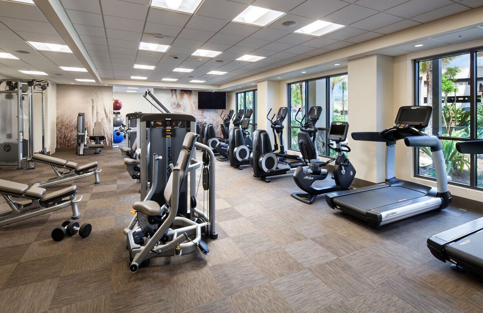 Et fitnesscenter med løbebånd, styrketræningsmaskiner og store vinduer.
