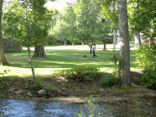 Property grounds - Great view of Washoe Park (Anaconda)