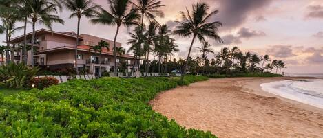 A beachfront hotel with palm trees, a sandy beach, and a view of the ocean.