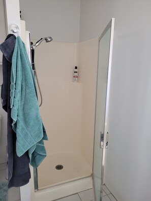Combined shower/tub, hair dryer, bidet, towels