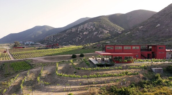 Un edificio rojo con techo plano y varias ventanas, rodeado de hileras de viñedos y montañas al fondo.