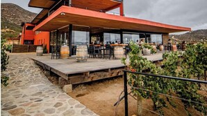 A modern building with a red roof, outdoor seating area, and a stone pathway leading to the entrance. -  Villa Montefiori (Valle de Guadalupe)