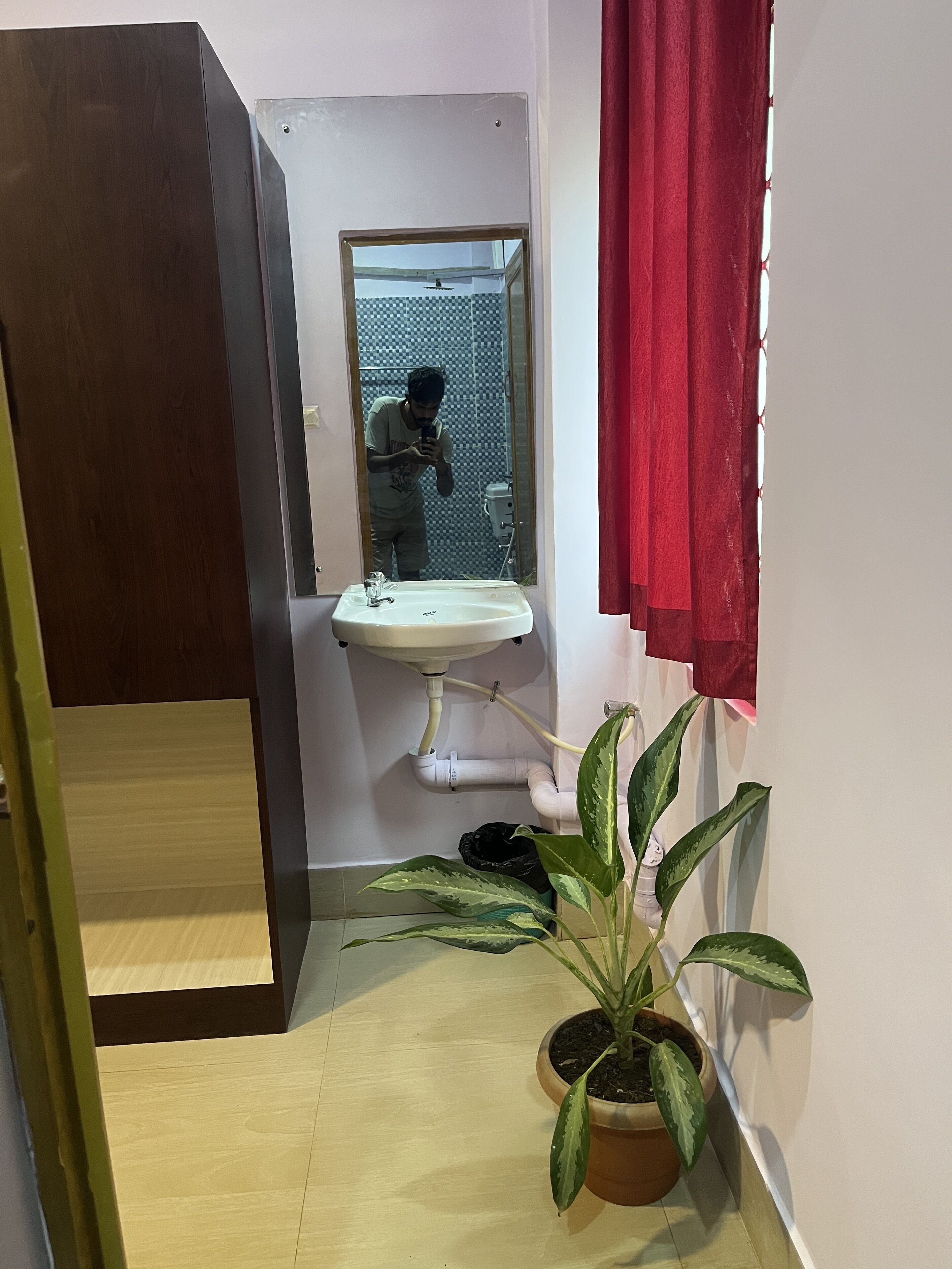 A bathroom with a white sink, a mirror, a red curtain, and a potted plant.