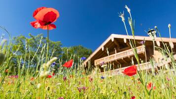 Eine Holzhütte mit einem Balkon, umgeben von einem Feld mit Wildblumen.
