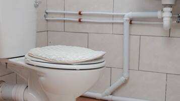 Ducha