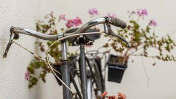 A bicycle leaning against a wall with a potted plant nearby.