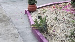 المنطقة المحيطة بالمنشأة