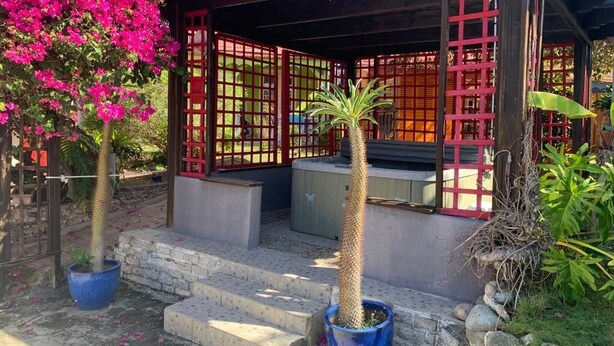 Un espacio al aire libre cubierto con una estructura de madera, escalones que llevan a una puerta y plantas en macetas.