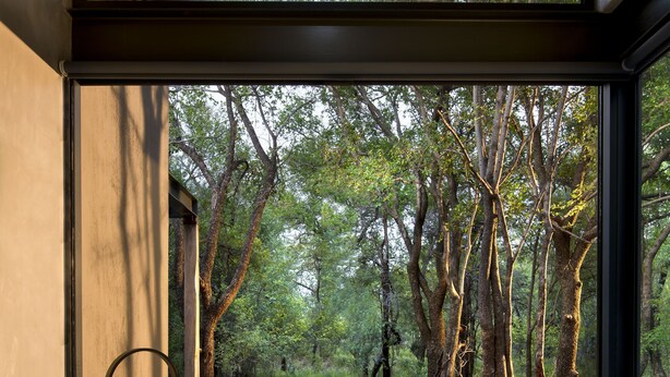A modern bathroom with a large bathtub, a wooden stool, and a view of a forest through large windows. - Mbazo Safaris (Pilanesberg National Park)